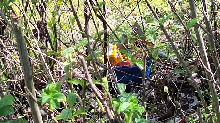 Ein Osternest in einem Busch